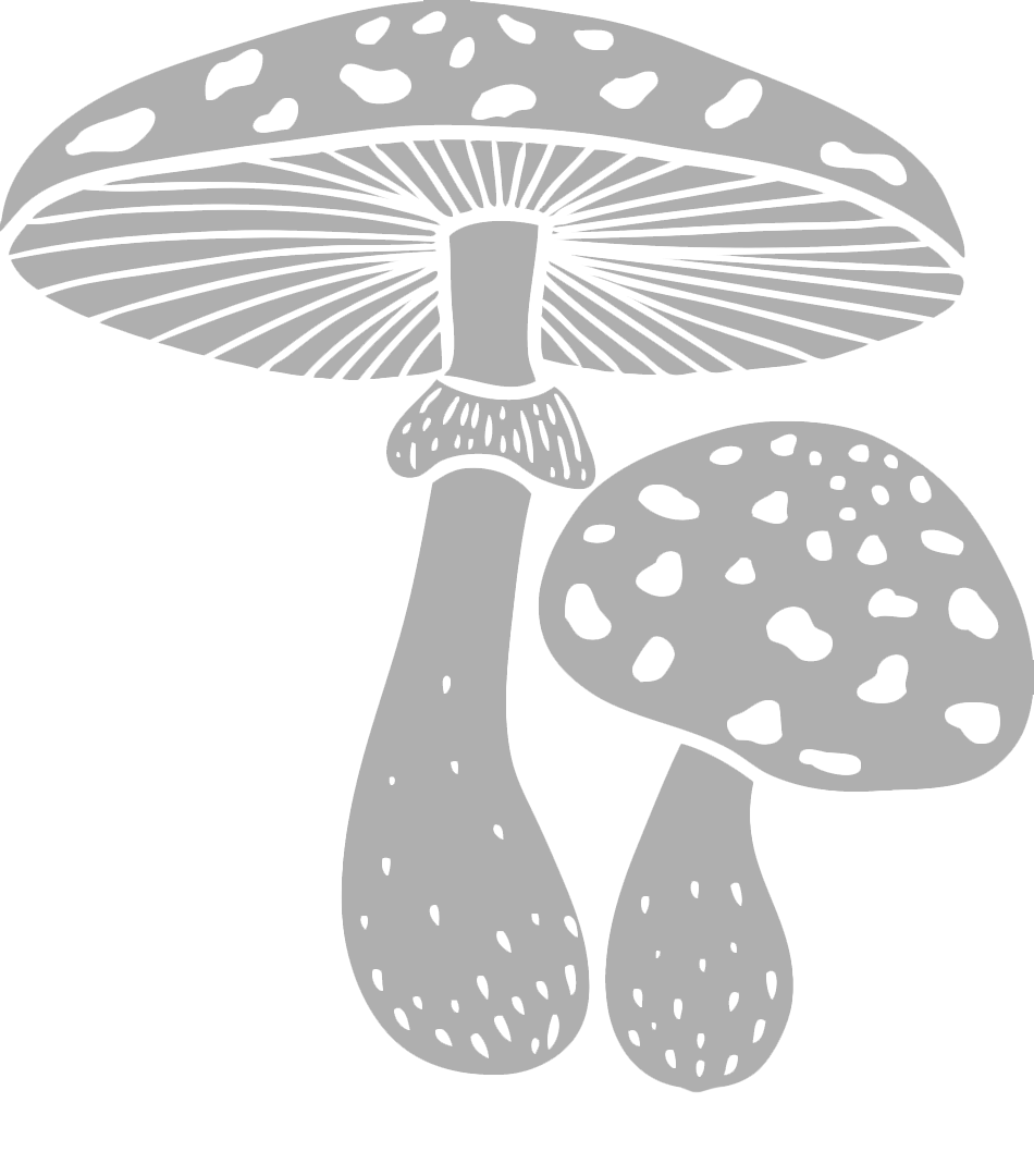 ankuragroup
