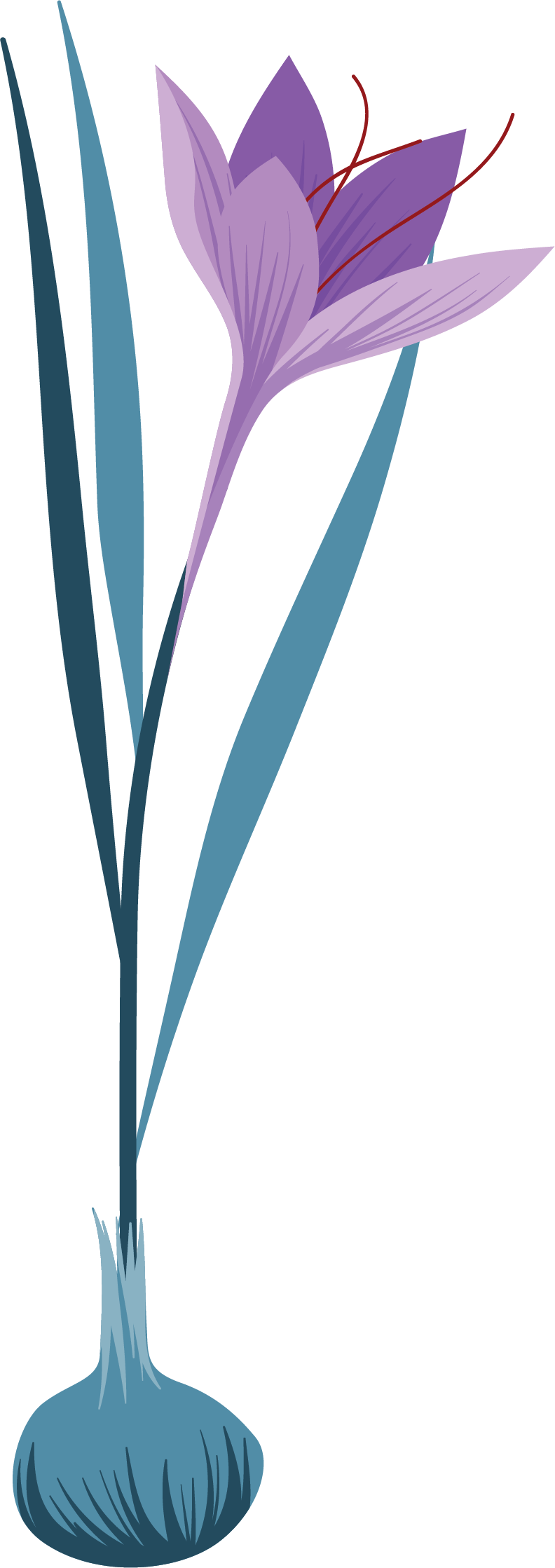 ankuragroup